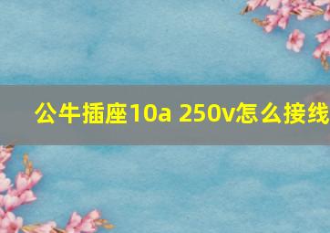 公牛插座10a 250v怎么接线